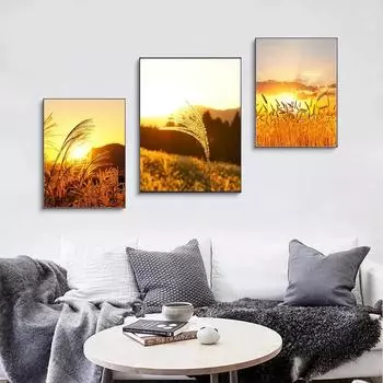 Растение под солнцем Холст Картина Пшеница и тростник настенные художественные пейзажные постеры и принты для декора гостиной без рамки 21*30cm