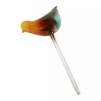 Растение самополивающиеся шипы стеклянный шар для праздничного сада офис