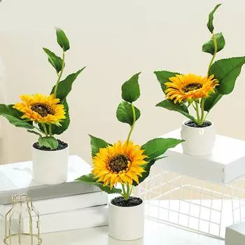 Растение в горшке Подсолнух Свадебный дом Won T Fade Lively