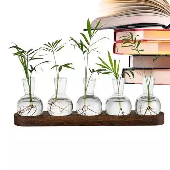 Растения Террариум для гидропоники Растения Офисные растения Станция для размножения растений с ретро деревянной подставкой Домашний настольный стеклянный горшок прозрачный