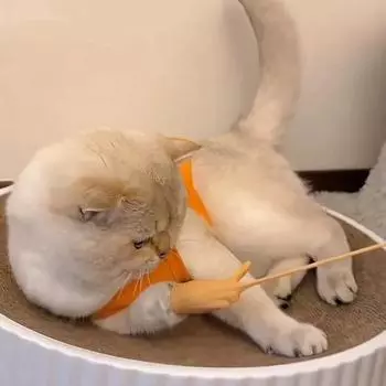 Растягивающиеся мини-перчатки для кошек, силиконовые кошачьи руки, креативные жесты пальцами, забавные украшения для кошек, игрушки для кошек, товары для животных