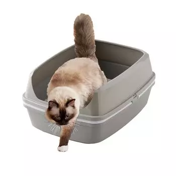 Размер лотка Ширина x Глубина x Высота 24 см Лопата не требуется Чистый, твердеющий наполнитель для кошачьего туалета [OFT] Бесконтактный серый/белый (ок.) 38,5 49,5