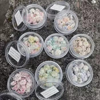 Разноцветные сухоцветы наклейки для ногтей маникюр украшения декор для ногтей наклейки для дизайна ногтей 8