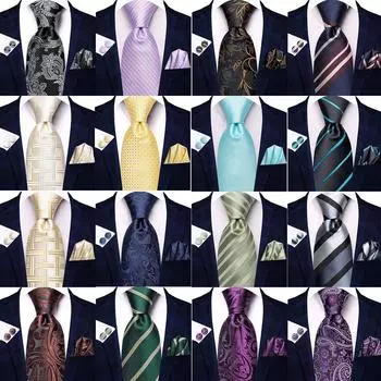 Разноцветный шелковый мужской галстук для свадьбы в полоску с цветочным узором пейсли N-6349