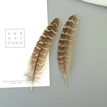 Разнообразие основного цвета с перьями фазана, серьги из материала ручной работы своими руками, забавные кошачьи палочки, индийский головной убор, декоративные перья 50pcs