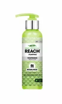 Reach pump toothpaste (spearmint scent)
