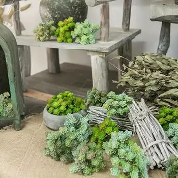 Real Touch Artificial Succulent Plant 24 Heads Micro Landscape Decoration Balcony Decoration белый