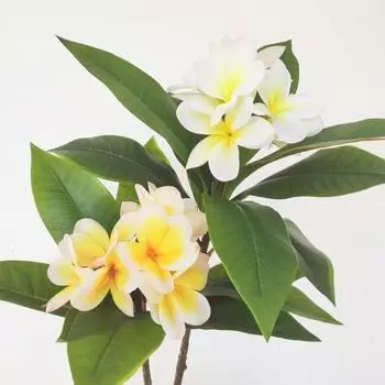 Real Touch Искусственные цветы плюмерии DIY Свадебный букет Декор Искусственные цветы Рождественский декор жёлтый
