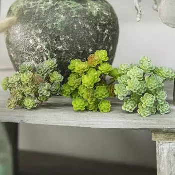 Real Touch Мини Искусственный Кактус Растение Пластик Микро Ландшафтный Декор Домашний Офис Декор белый