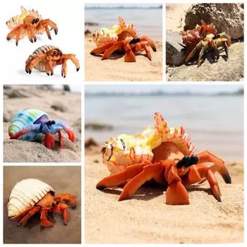 Realistic Animal Model Hermit Crab Model Marine Plastic Toys Sea Life Toys Early Educational белый