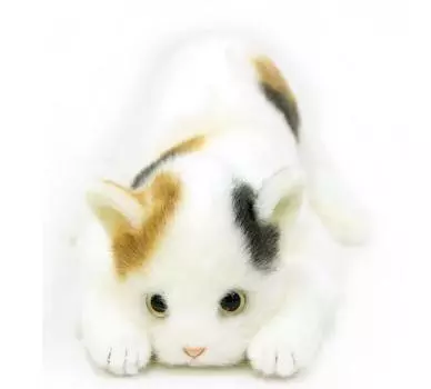 Realistic cat plush toy made in 58cm with open Japan, (Mikeneko L, eyes)