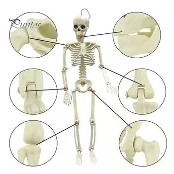 Реалистичные подвижные суставы скелета, регулируемый пластиковый скелет на Хэллоуин для декора кладбища, простая установка, реквизит для дома с привидениями в помещении и на открытом воздухе белый