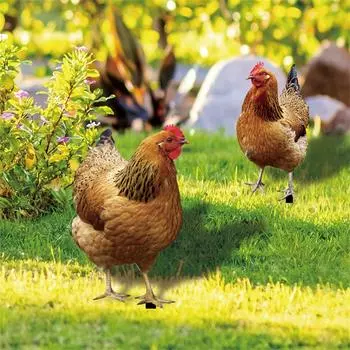 Реалистичные статуи курицы, акриловые колья в виде петухов, декор скульптур животных, куриные орнаменты, художественный декор для двора на заднем дворе One Size