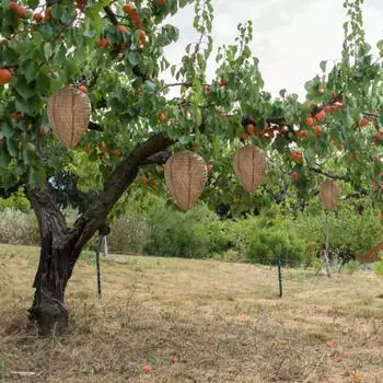 Реалистичный отпугиватель ос, поддельный отпугиватель шершней, безопасная поддельная ловушка для шершней, безопасная ловушка для сада и патио на открытом воздухе коричневый