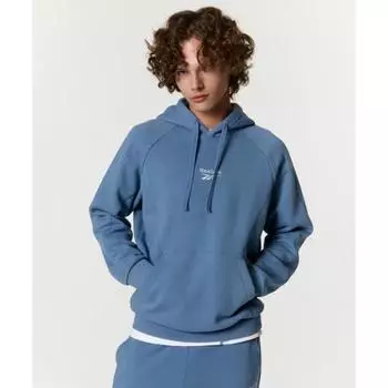 Reebok Paneled Brushed Hoodie Blue L