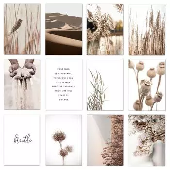 Reed Дикое растение, скандинавские постеры и принты с пейзажами пустыни, настенная живопись на холсте, настенные картины с сеном для гостиной, домашний декор 21*30cm