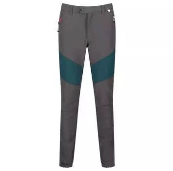 Regatta Брюки Mountain Regular 42