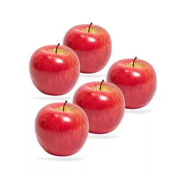 Regipro B Food Sample Apple Set of 5 Interior Model Toy 8cm x 8cm Red