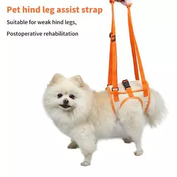 Регулируемая повязка для собак, поддержка бедер и задних ног, аксессуары для домашних животных, помощь собакам, дышащая поддержка для ног собак, прочная поддержка бедер собак