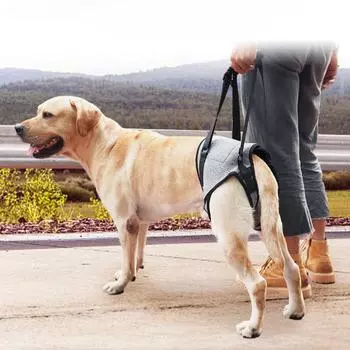 Регулируемая шлейка для поддержки задних ног для собак с ограниченными возможностями Шлейка для подъема собак для больших собак Поддержка задних ног для старых собак S серый
