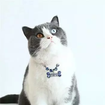 Регулируемое ожерелье для питомца, ошейник для кошек и собак, хрустальный ошейник, кулон в виде кости со стразами, для кошек и собак, роскошные модные украшения для одежды, аксессуары S(25CM) белый