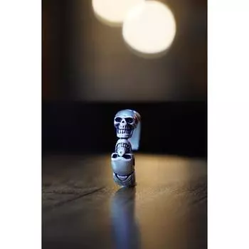 Регулируемое посеребренное кольцо с двуглавым черепом