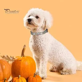 Регулируемый ошейник для домашних животных, круг на шею для собак с D-образным кольцом, устойчивый к разрыву стильный ремешок на шею с цветочным узором для домашних животных для улицы M A