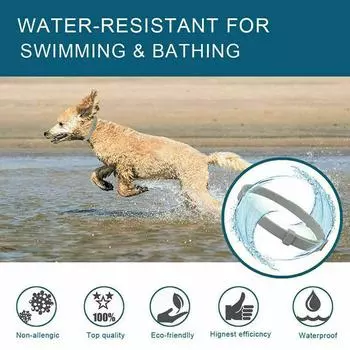 Регулируемый ошейник для домашних животных против блох и клещей для собак, кошек, котят, защита на 8 месяцев фиолетовый