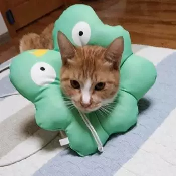 Регулируемый ошейник Pet Elizabeth Collar Cartoon Cat Защитный ошейник для кошек Ошейник для восстановления здоровья кошек и собак S зелёный