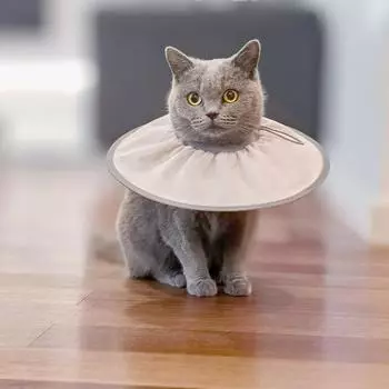 Регулируемый ошейник в елизаветинском стиле для кошек, конус для шеи собаки, ошейник для восстановления, защита от укусов, медицинское кольцо на шею, ошейник для восстановления домашних животных S