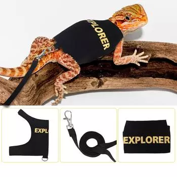 Регулируемый поводок-шлейка для рептилий, ящериц для прогулок на улице