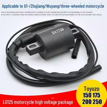 Регулятор напряжения CG125 с резистором и медным колпачком свечи зажигания для электрической системы зажигания трехколесного мотоцикла. CG125 high voltage package