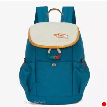 Рекомендации по выбору зимней сумки для пикника и прогулок North Face Mini Boys