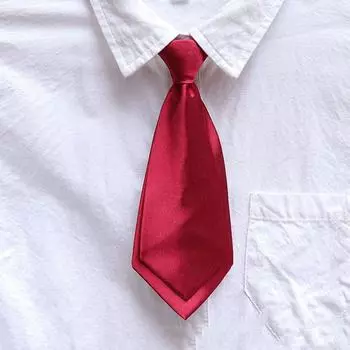 Реквизит Blaze аксессуары для женщин эластичный галстук маленький галстук школьная форма галстук детский галстук шампанского