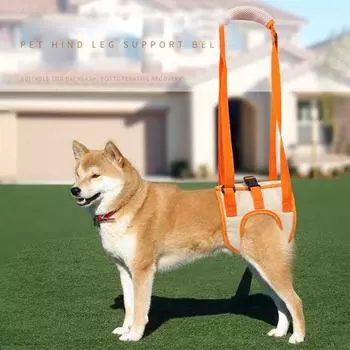 Ремень для поддержки задних лап домашних животных, ткань Оксфорд, дышащий регулируемый вспомогательный ремень с двойной фиксацией для пожилой собаки S