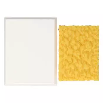 Реплика человеческого жира Keep Fit Мотивационное напоминание Демонстрационная модель жировой ткани человека для