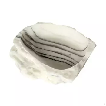 Reptile Water Bowl Feeder Tank Decor Decorative Feeding Bathing Pool for Chameleon