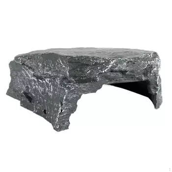 Рептилии Причал Отдыхающие Черепахи Греющиеся Платформы Уступ Тритоны Терраса Каменные Лягушки Рептилия Каменная Пещера