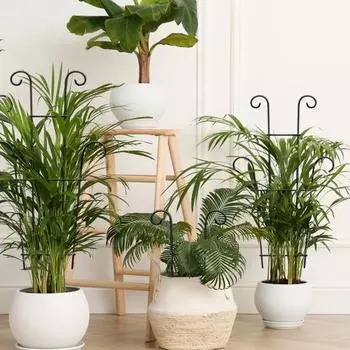 Решетка для вьющихся растений для помещений и улицы, металлическая антикоррозийная опорная решетка, простая 2pcs