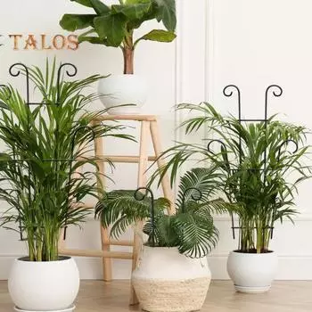 Решетка для вьющихся растений, металлическая антикоррозийная опорная решетка для помещений и улицы, простая в установке, решетка для комнатных растений, плющ Потос 2pcs