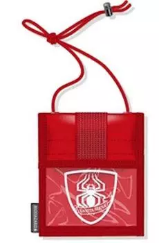 Resident Evil 6 Pass Case tentative name