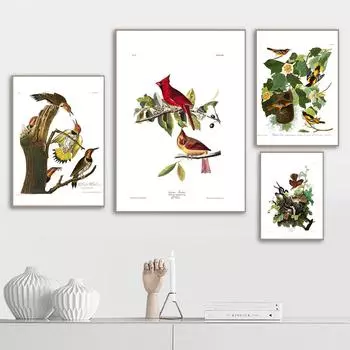 Ретро американские птицы иллюстрации принт винтажный постер птица дерево настенная живопись холст живопись для гостиной домашний декор без рамки (с рамкой) 15*20cm(with frame)