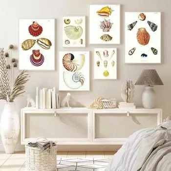 Ретро-арт, красивая ракушка, холст, картина, настенное искусство, морские животные, наука и образование, постер для гостиной, украшение для дома, фреска без рамки 21*30cm