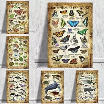 Ретро Декоративная Живопись Образовательный Плакат Иллюстрация Животного Бабочка Мультфильм Настенная Роспись One Size