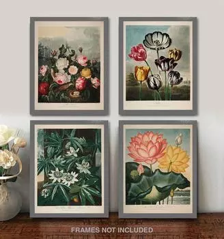 Ретро Холст Картина Цветок Растение Иллюстрация Спальня Гостиная Декоративная Живопись Пион Картина Винтаж Декор Комнаты Без Рамки 21*30cm