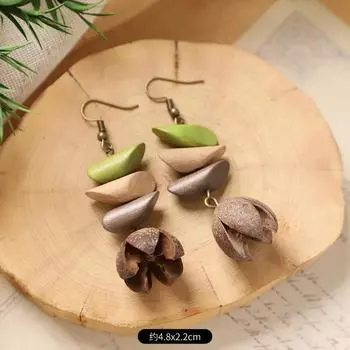 Ретро нишевые литературные серьги, натуральные растительные плоды, деревянные сухофрукты, длинные серьги с бахромой для женщин