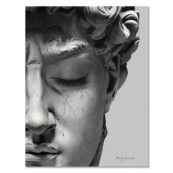 Ретро Ренессанс Давид Твердая скульптура Холст Картины Половина лица Портрет Печать Постеры Художественные картины для декора стен комнаты 21cm30cm NoFrame