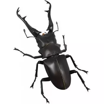 Revo Geo Prosopocoilus Giraffa 210 мм ПВХ Rg007 Кайёдо Кирапано Когирику Вагата