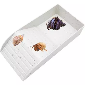 Резервуар для воды для рака-отшельника с пандусом для малого и среднего рака-отшельника