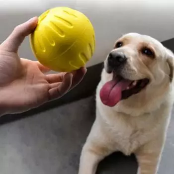 Резиновая игрушка для большой собаки Dingdongpet pet, желтая, 1 шт.